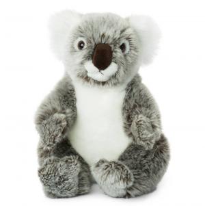 Koala - WWF (Verdensnaturfonden)