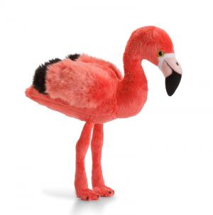 Flamingo - WWF (Verdensnaturfonden)