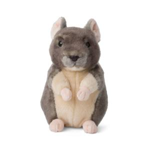 Chinchilla - WWF (Verdensnaturfonden)